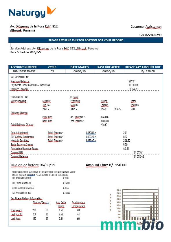 Panama Naturgy elektryczność company w formacie Word